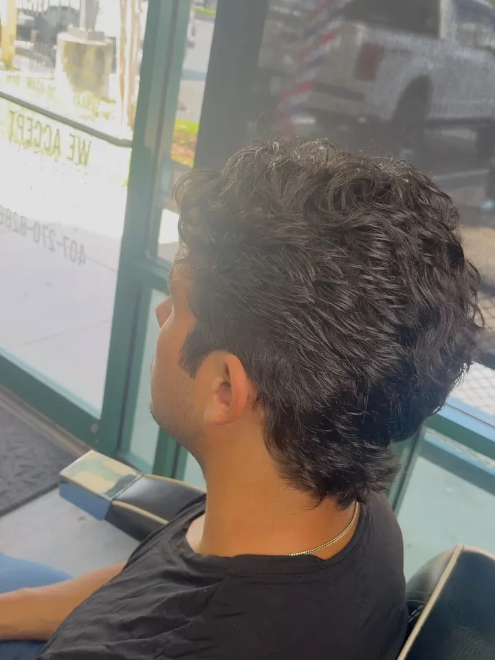 Curly top with a taper, seen from behind by the front window